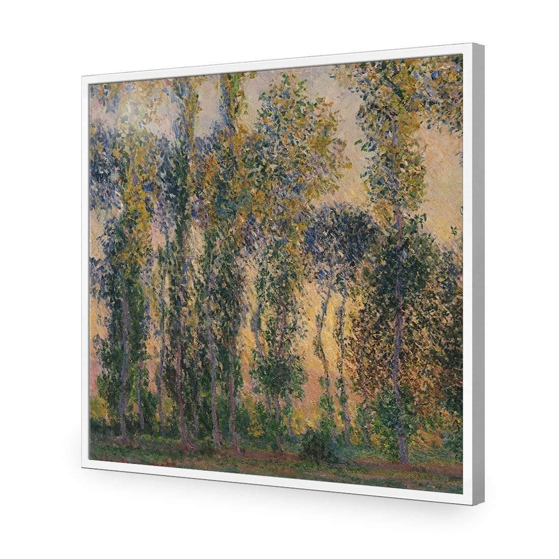 Poplars At Giverny Sunrise by Monet - Wall Art Designs - 3813_AS_Q WAD_AP - 030 - EDG_37x37_S - 2538 - WHT