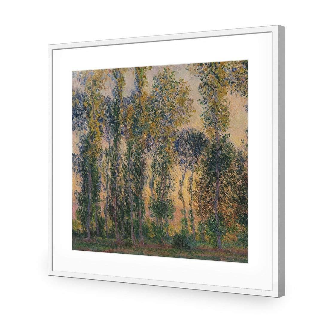 Poplars At Giverny Sunrise by Monet - Wall Art Designs - 3813_AS_Q WAD_AP - 030 - MAT_37x37_S - 2538 - WHT