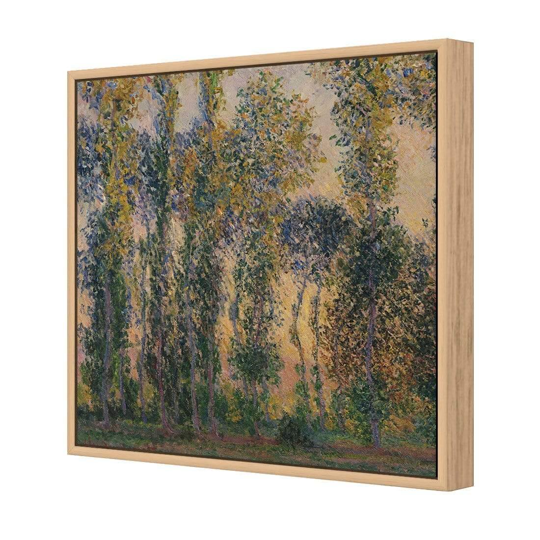 Poplars At Giverny Sunrise by Monet - Wall Art Designs - 3813_AS_Q WAD_CP - MPY - 260 - M - S - S_37x37_S - 1550 - OAK