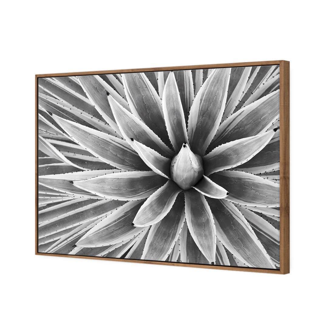 Prickly Perfect, Black and White (Landscape) - Wall Art Designs - 3034_BR_H WAD_CP - MPY - 260 - M - S - S_45x30_NONE