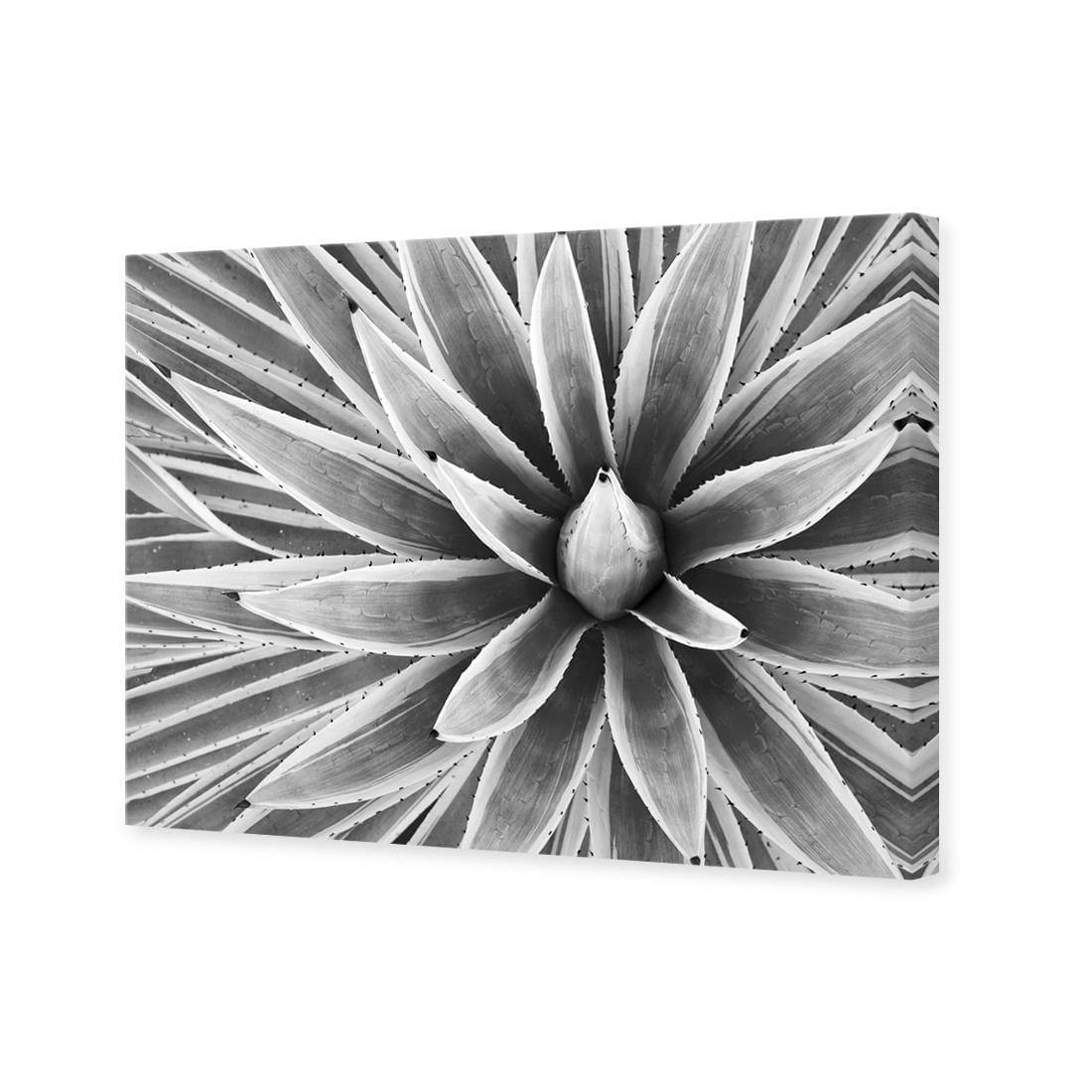 Prickly Perfect, Black and White (Landscape) - Wall Art Designs - 3034_BR_H WAD_CP - MPY - 260 - M - S - S_45x30_NONE