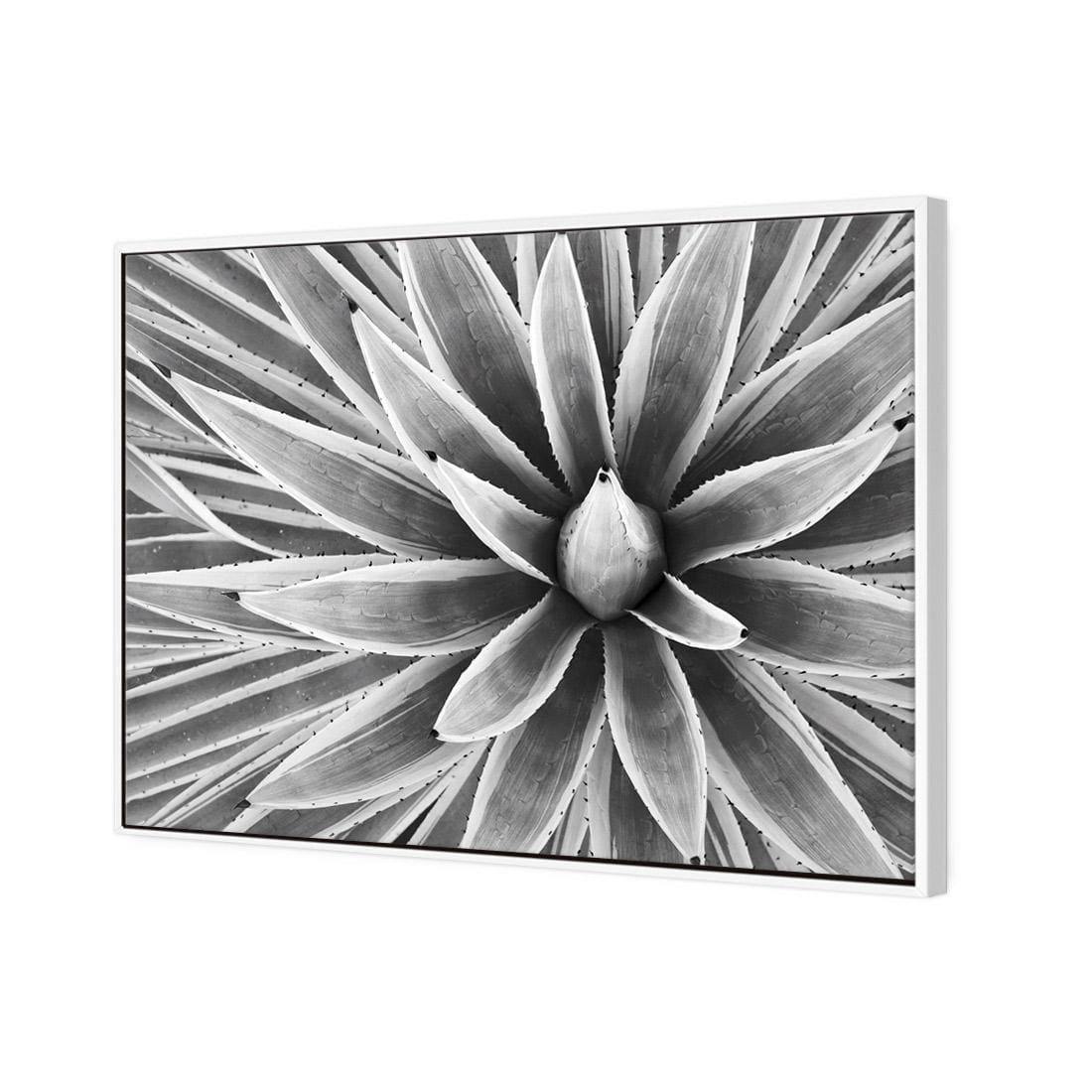 Prickly Perfect, Black and White (Landscape) - Wall Art Designs - 3034_BR_H WAD_CP - MPY - 260 - M - S - S_45x30_NONE