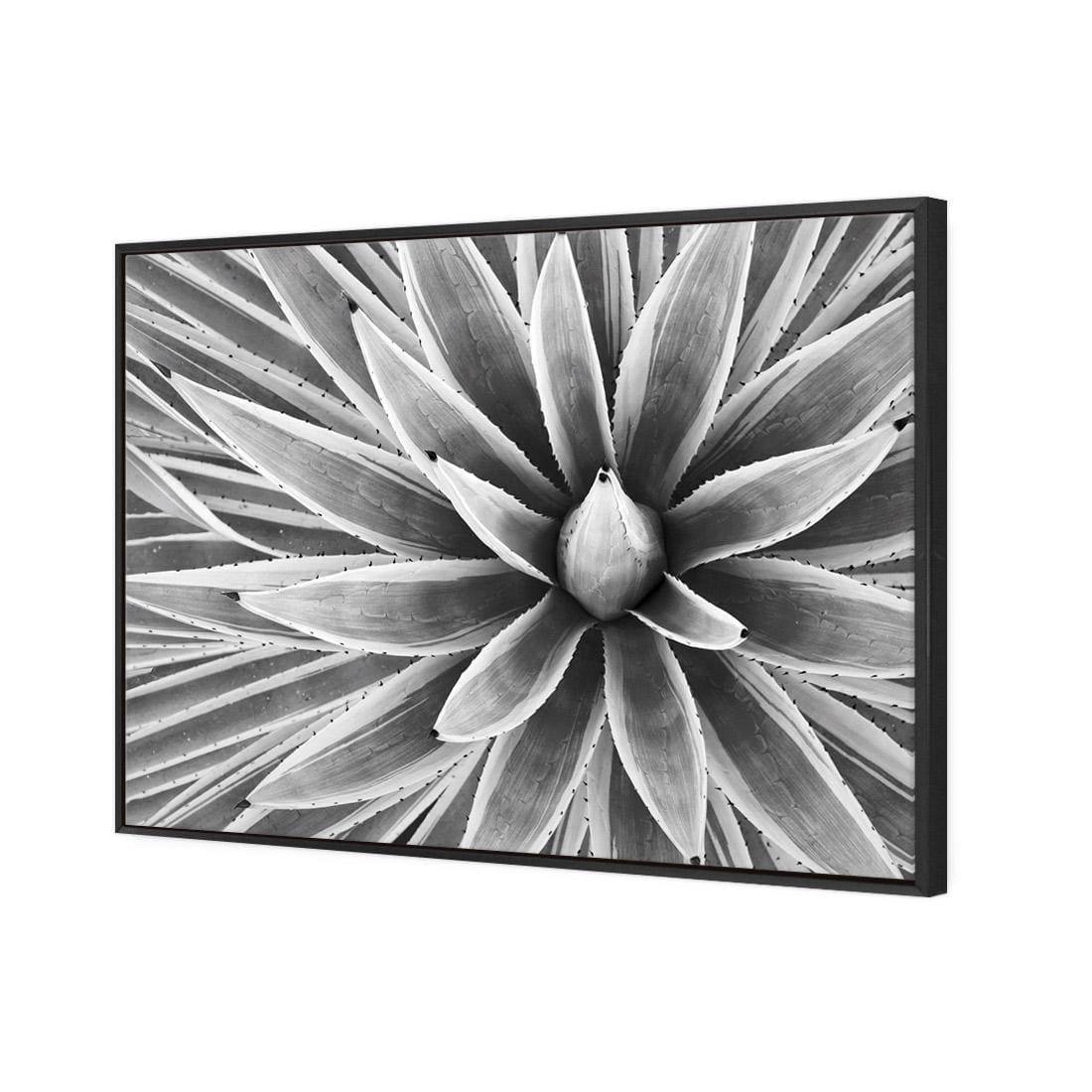 Prickly Perfect, Black and White (Landscape) - Wall Art Designs - 3034_BR_H WAD_CP - MPY - 260 - M - S - S_45x30_NONE