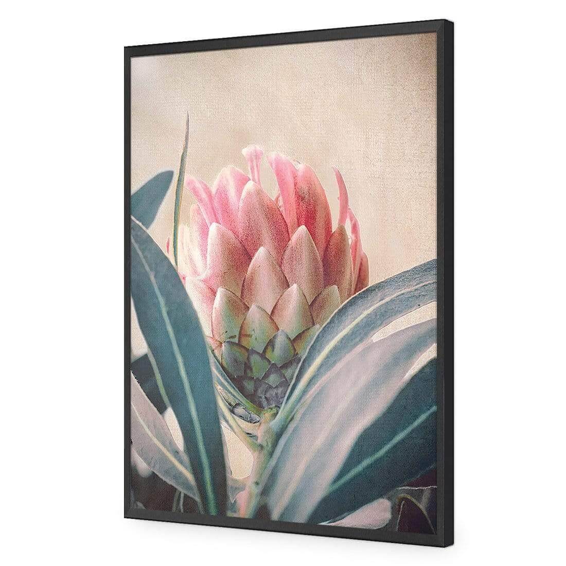 Protea Hiding - Wall Art Designs - AU_1080_AR_V WAD_AP - 030 - EDG_45x30_S - 2538 - BLK