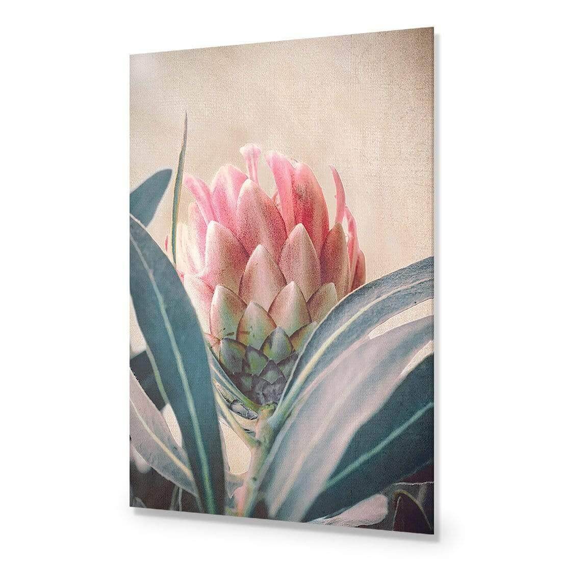 Protea Hiding - Wall Art Designs - AU_1080_AR_V WAD_AP - 030 - EDG_45x30_NONE