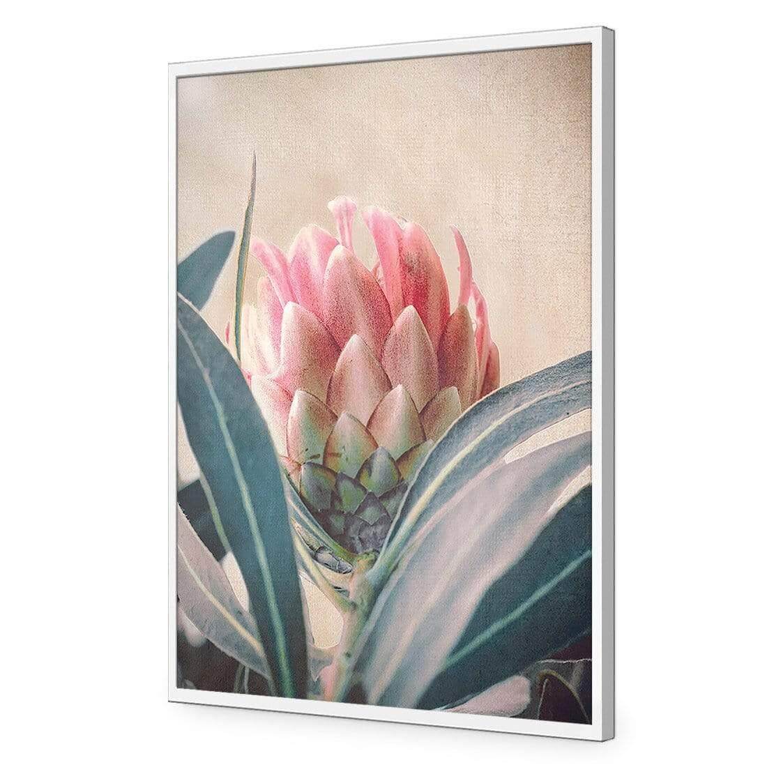 Protea Hiding - Wall Art Designs - AU_1080_AR_V WAD_AP - 030 - EDG_45x30_S - 2538 - WHT