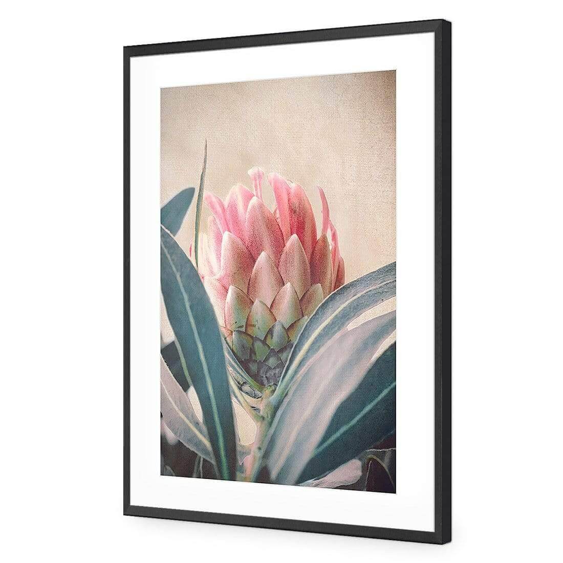 Protea Hiding - Wall Art Designs - AU_1080_AR_V WAD_AP - 030 - MAT_45x30_S - 2538 - BLK