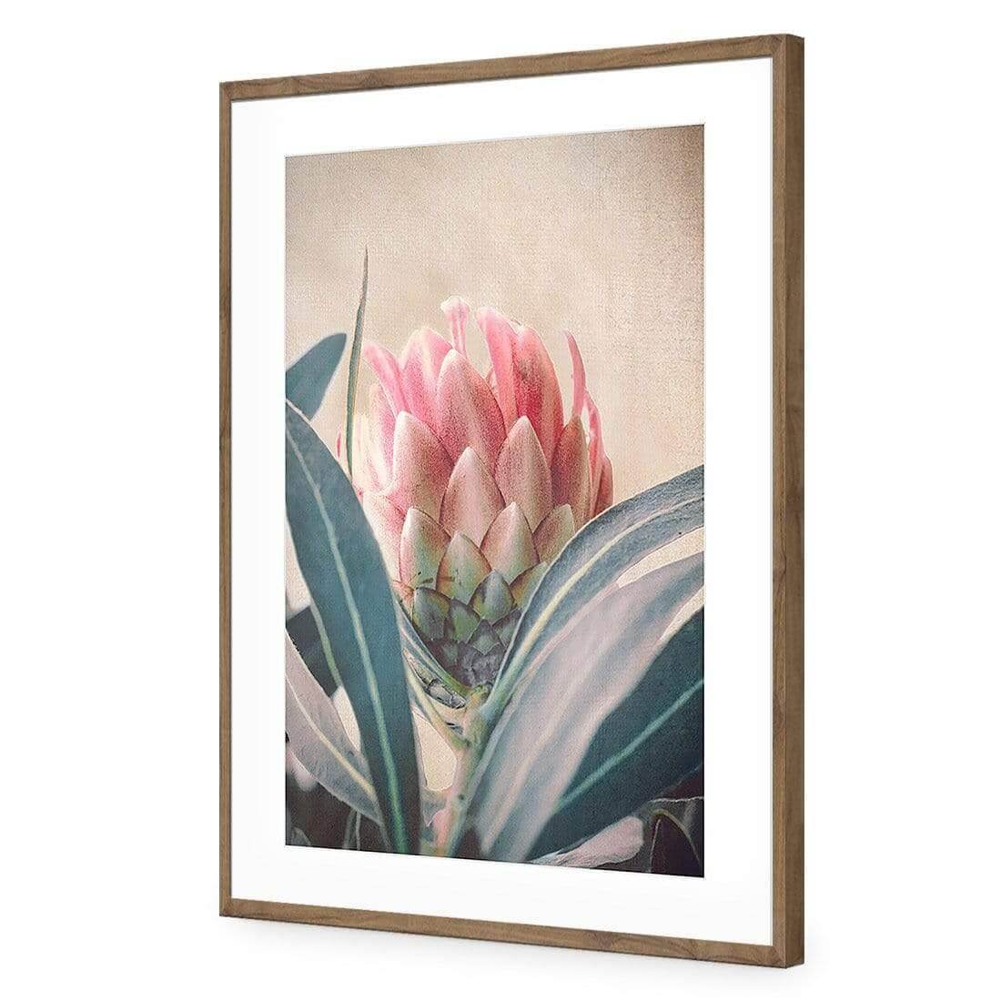 Protea Hiding - Wall Art Designs - AU_1080_AR_V WAD_AP - 030 - MAT_45x30_S - 2538 - NAT