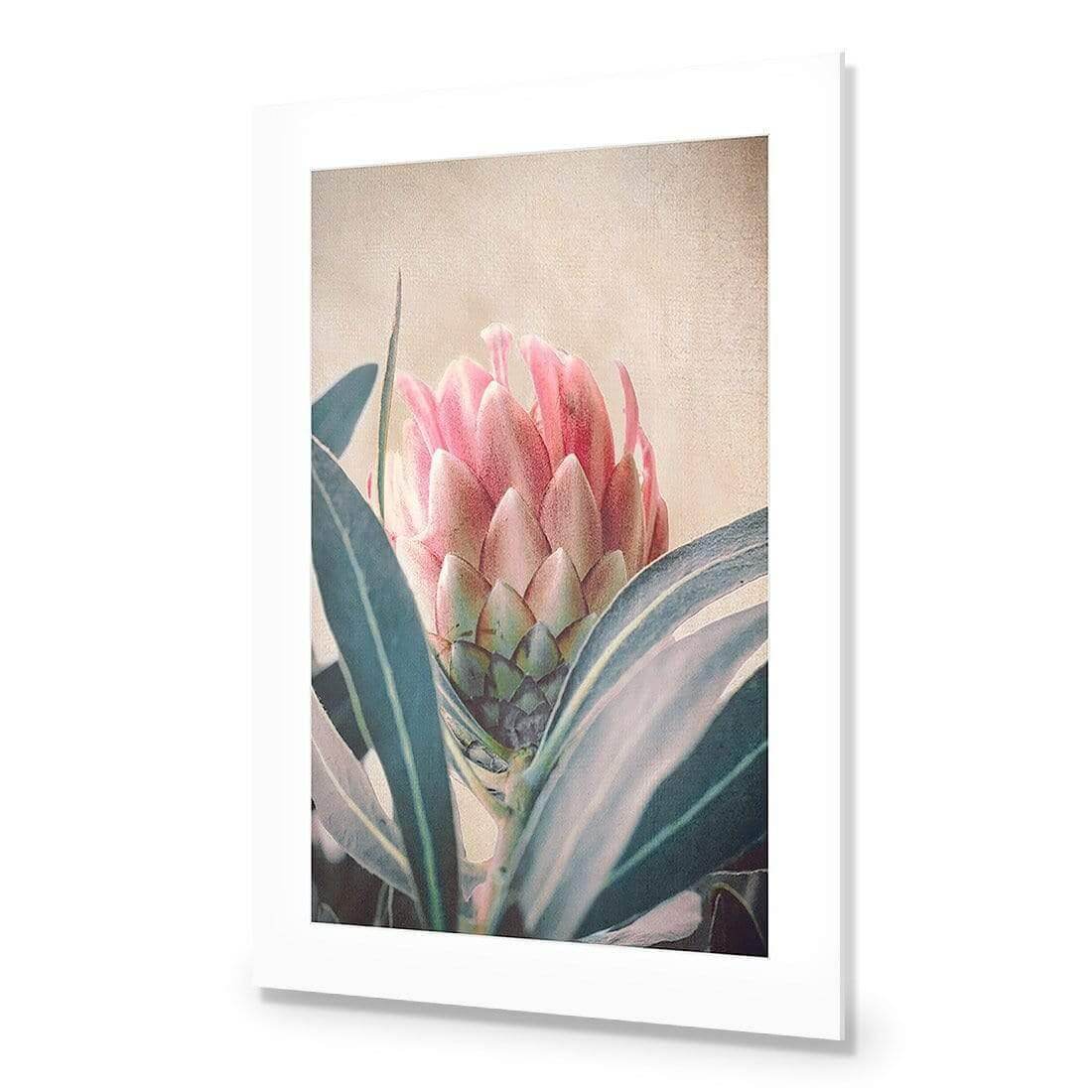 Protea Hiding - Wall Art Designs - AU_1080_AR_V WAD_AP - 030 - MAT_45x30_NONE