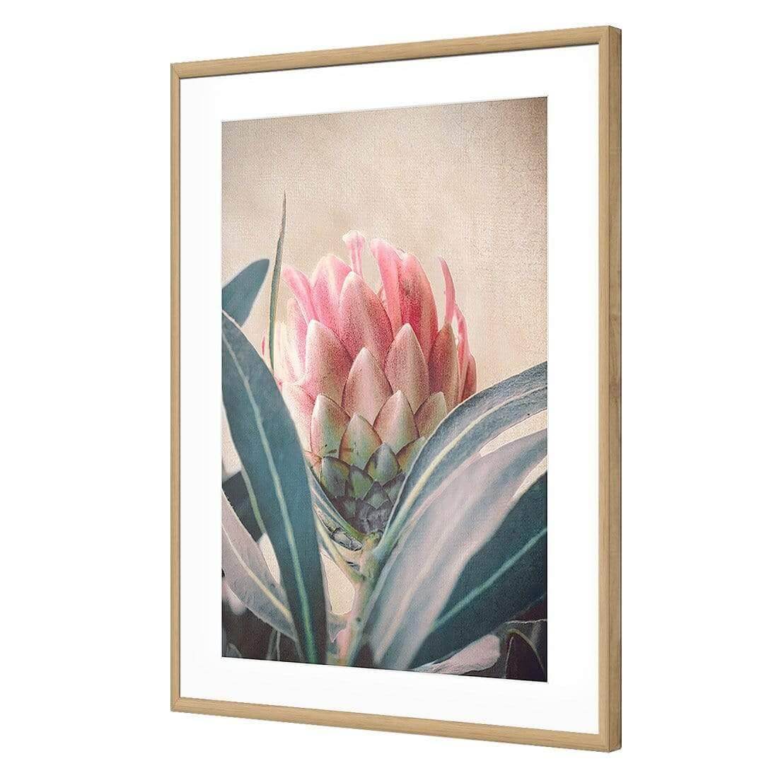 Protea Hiding - Wall Art Designs - AU_1080_AR_V WAD_AP - 030 - MAT_45x30_S - 2538 - OAK