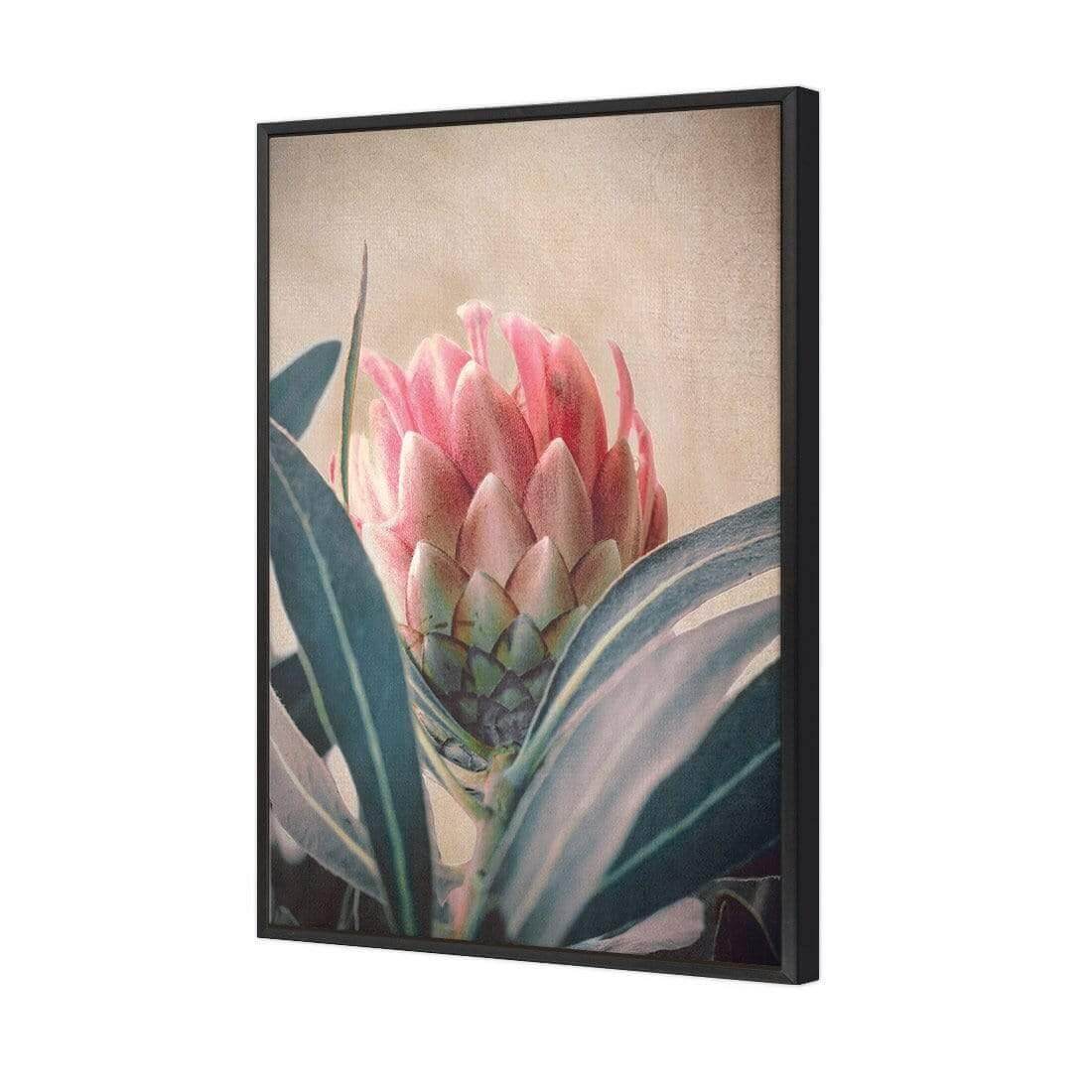 Protea Hiding - Wall Art Designs - AU_1080_AR_V WAD_CP - MPY - 260 - M - S - S_45x30_S - 1550 - BLK