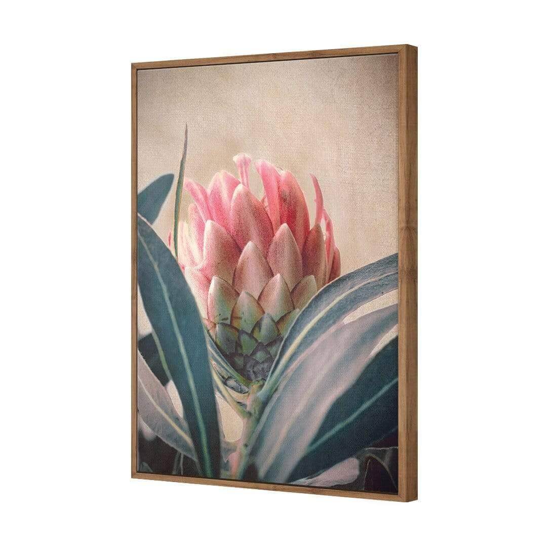 Protea Hiding - Wall Art Designs - AU_1080_AR_V WAD_CP - MPY - 260 - M - S - S_45x30_S - 1550 - NAT