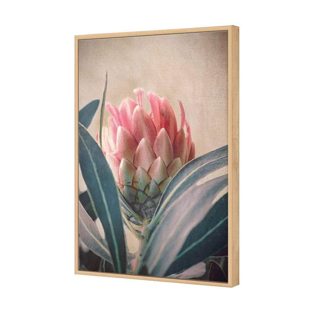 Protea Hiding - Wall Art Designs - AU_1080_AR_V WAD_CP - MPY - 260 - M - S - S_45x30_S - 1550 - OAK