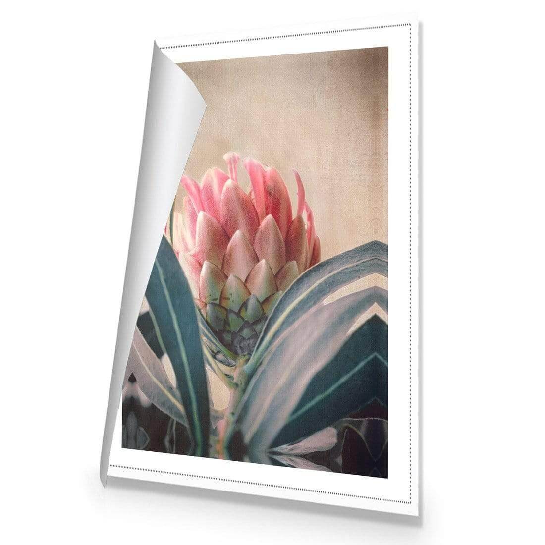 Protea Hiding - Wall Art Designs - AU_1080_AR_V WAD_CP - MPY - 260 - M - R_45x30_NONE