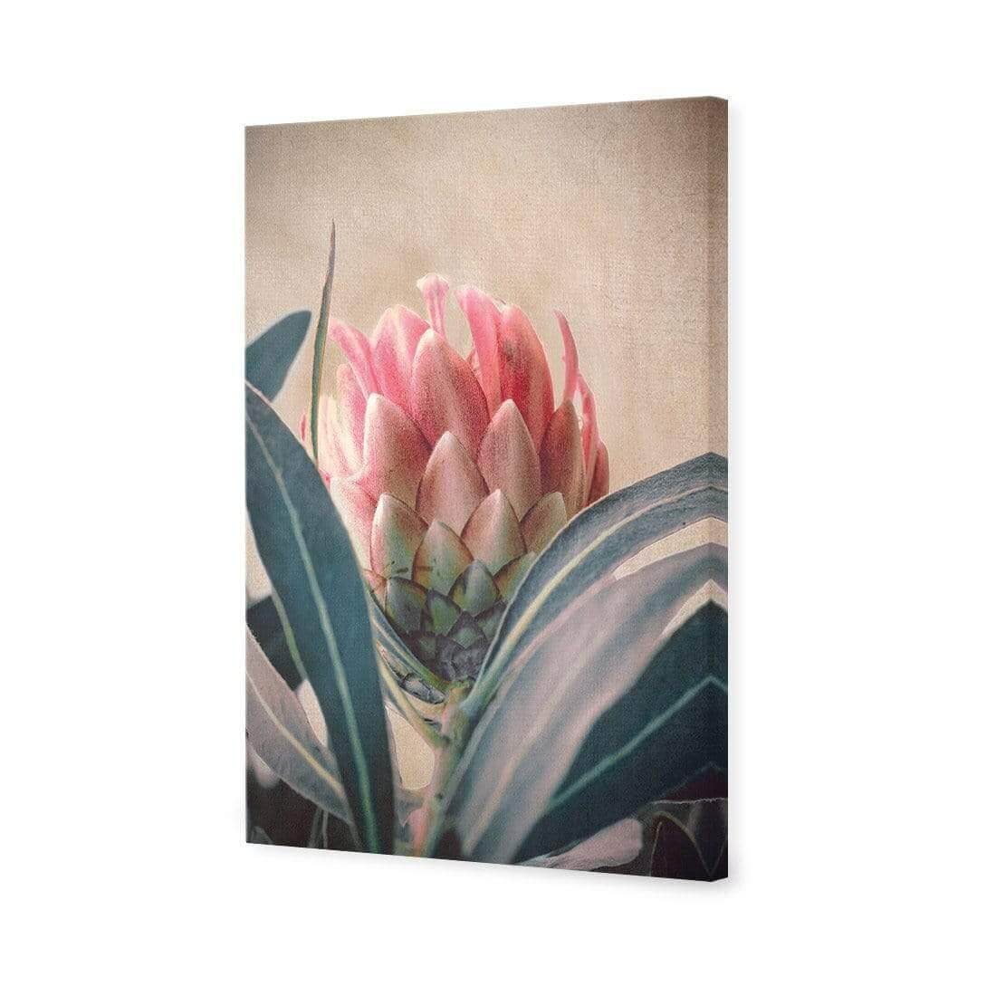 Protea Hiding - Wall Art Designs - AU_1080_AR_V WAD_CP - MPY - 260 - M - S - S_45x30_NONE