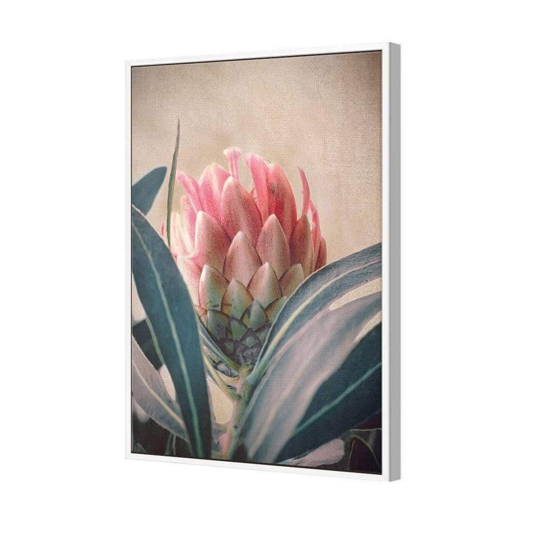 Protea Hiding - Wall Art Designs - AU_1080_AR_V WAD_CP - MPY - 260 - M - S - S_45x30_S - 1550 - WHT