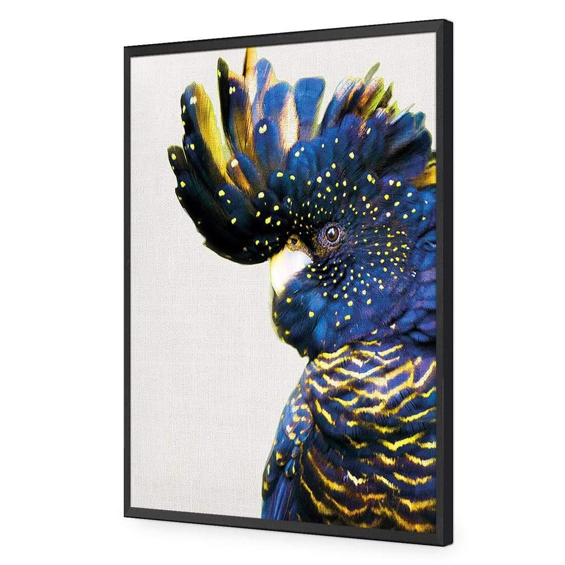 Proud Black Cocky - Wall Art Designs - AU_1042_AR_V WAD_AP - 030 - EDG_45x30_S - 2538 - BLK