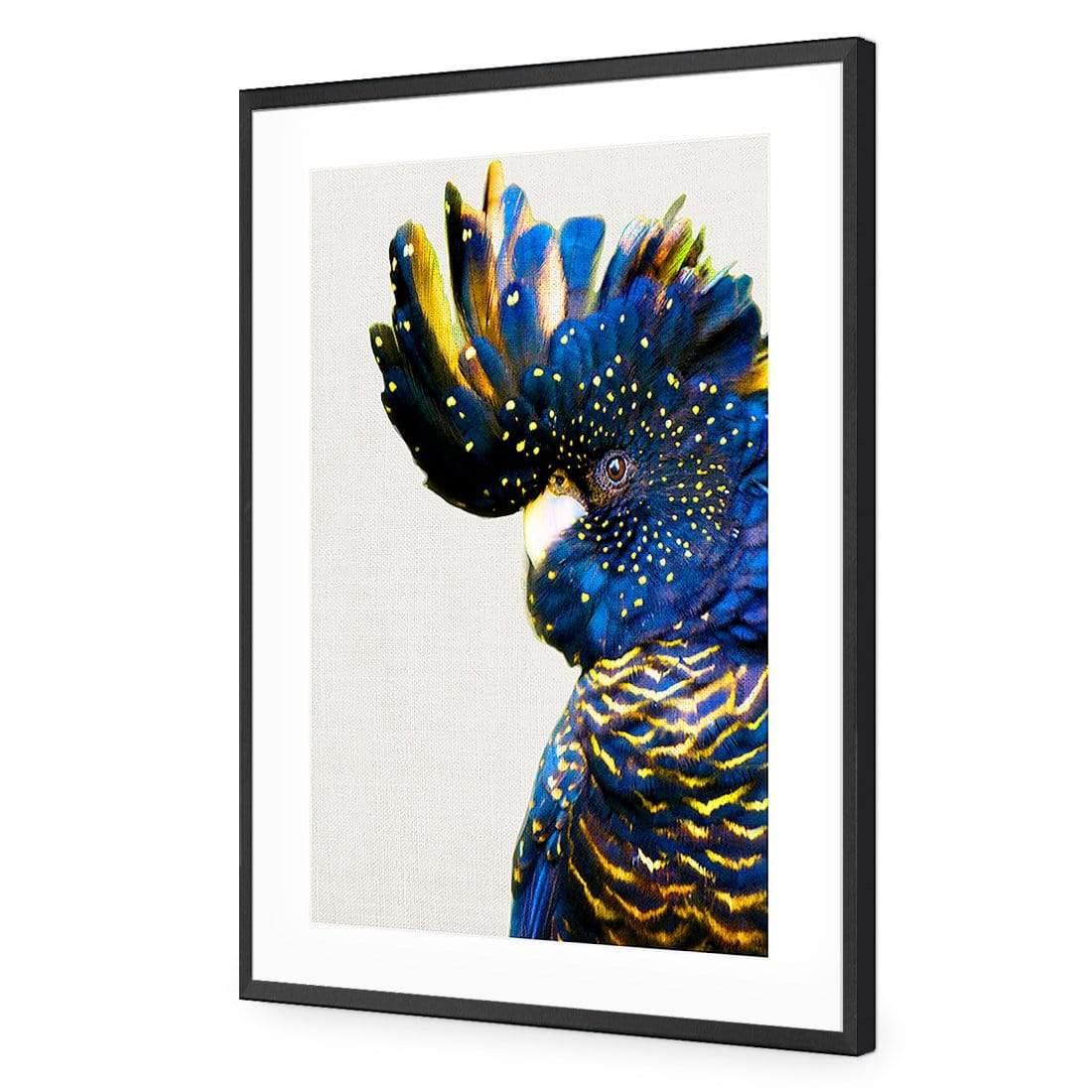 Proud Black Cocky - Wall Art Designs - AU_1042_AR_V WAD_AP - 030 - MAT_45x30_S - 2538 - BLK