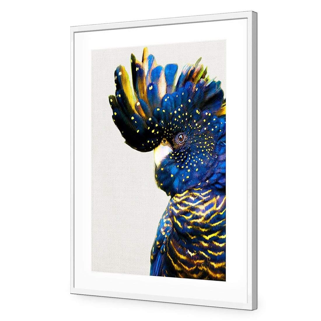 Proud Black Cocky - Wall Art Designs - AU_1042_AR_V WAD_AP - 030 - MAT_45x30_S - 2538 - WHT