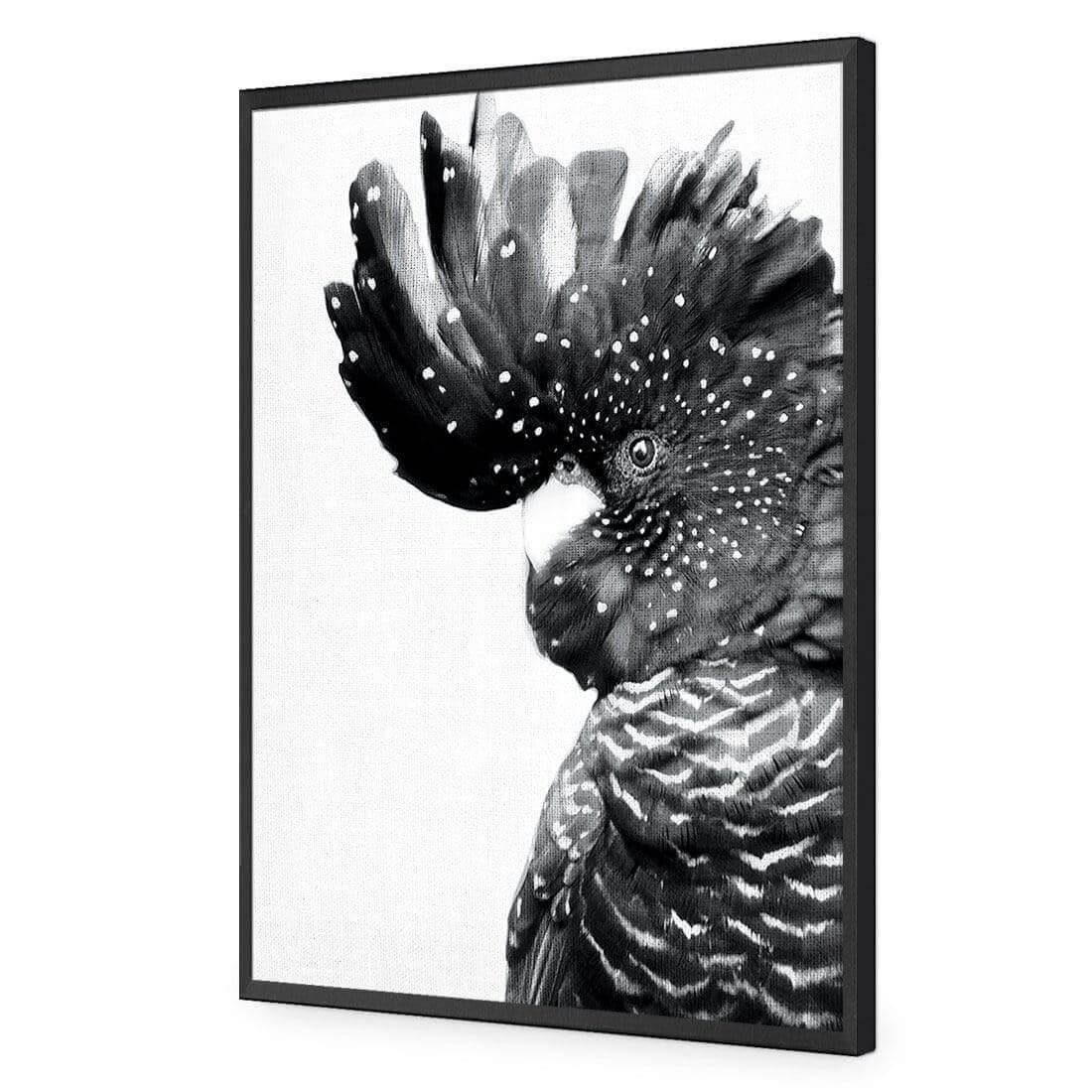 Proud Black Cocky, Black and White - Wall Art Designs - AU_1042_BR_V WAD_AP - 030 - EDG_45x30_S - 2538 - BLK