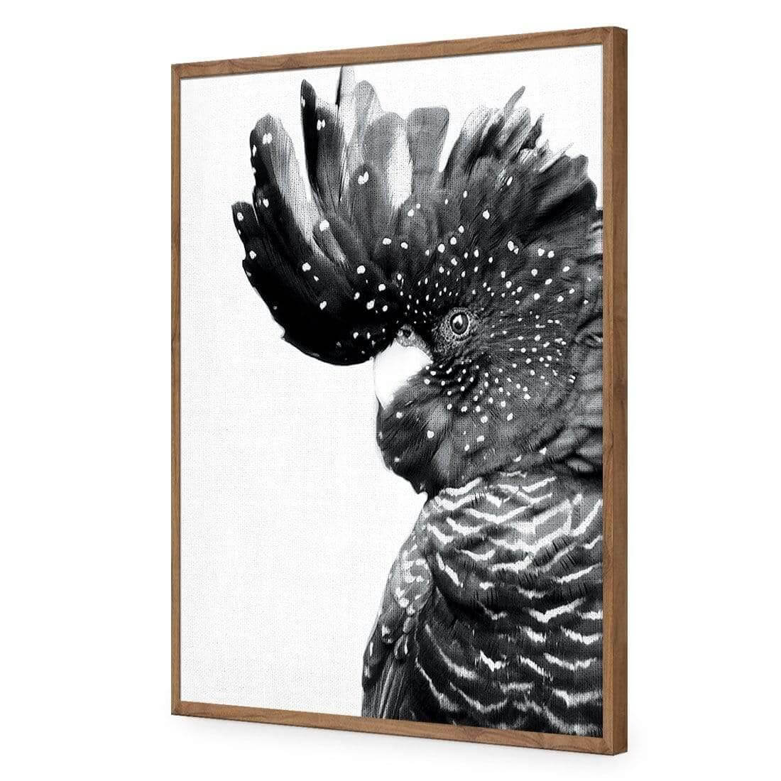 Proud Black Cocky, Black and White - Wall Art Designs - AU_1042_BR_V WAD_AP - 030 - EDG_45x30_S - 2538 - NAT