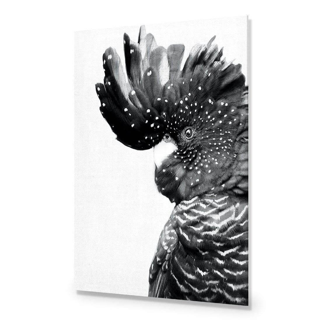 Proud Black Cocky, Black and White - Wall Art Designs - AU_1042_BR_V WAD_AP - 030 - EDG_45x30_NONE