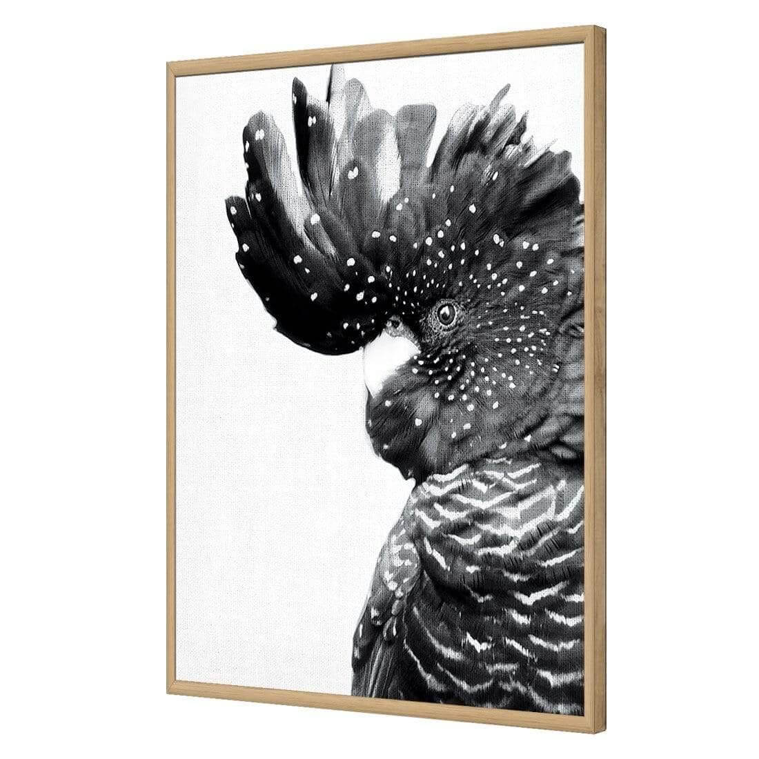 Proud Black Cocky, Black and White - Wall Art Designs - AU_1042_BR_V WAD_AP - 030 - EDG_45x30_S - 2538 - OAK