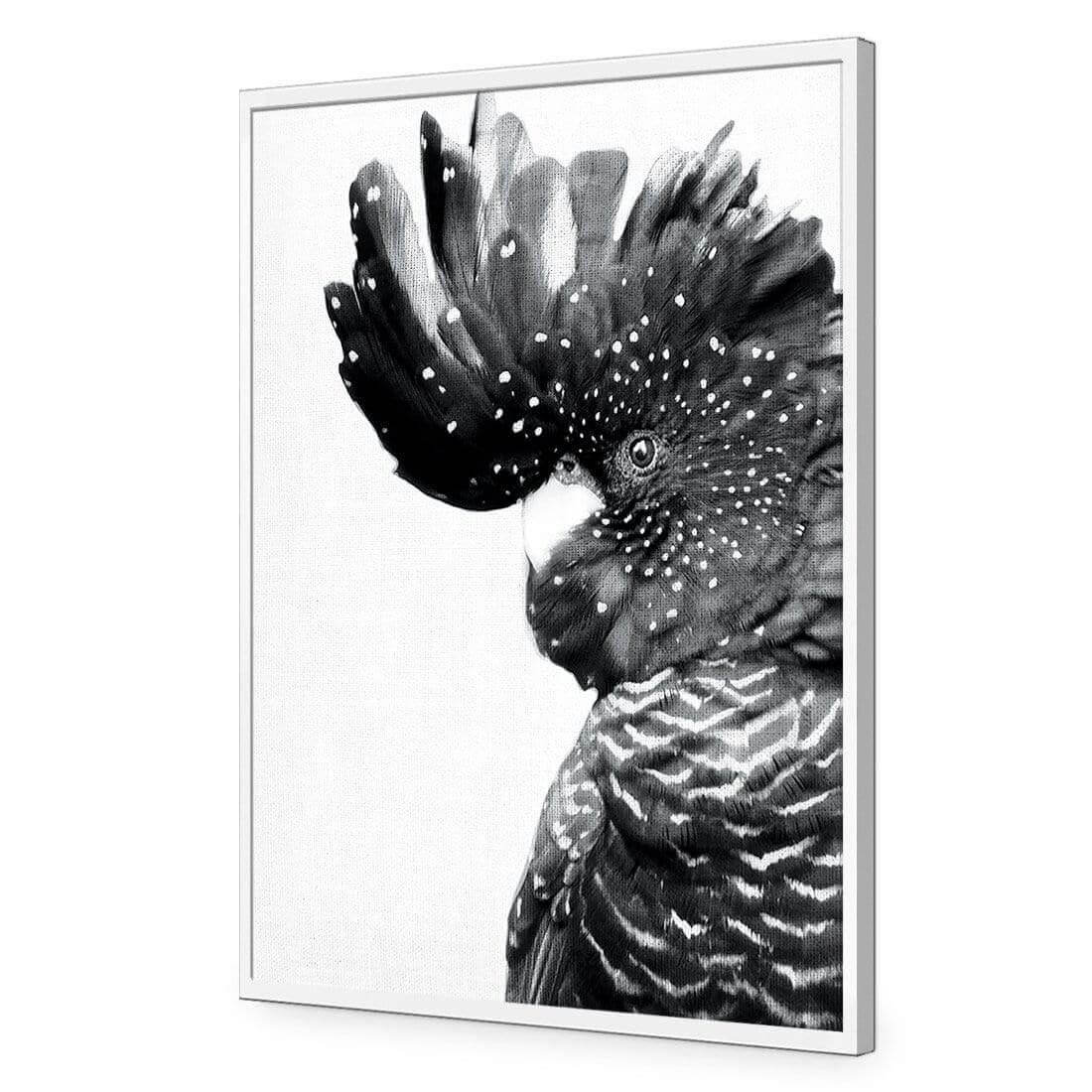 Proud Black Cocky, Black and White - Wall Art Designs - AU_1042_BR_V WAD_AP - 030 - EDG_45x30_S - 2538 - WHT