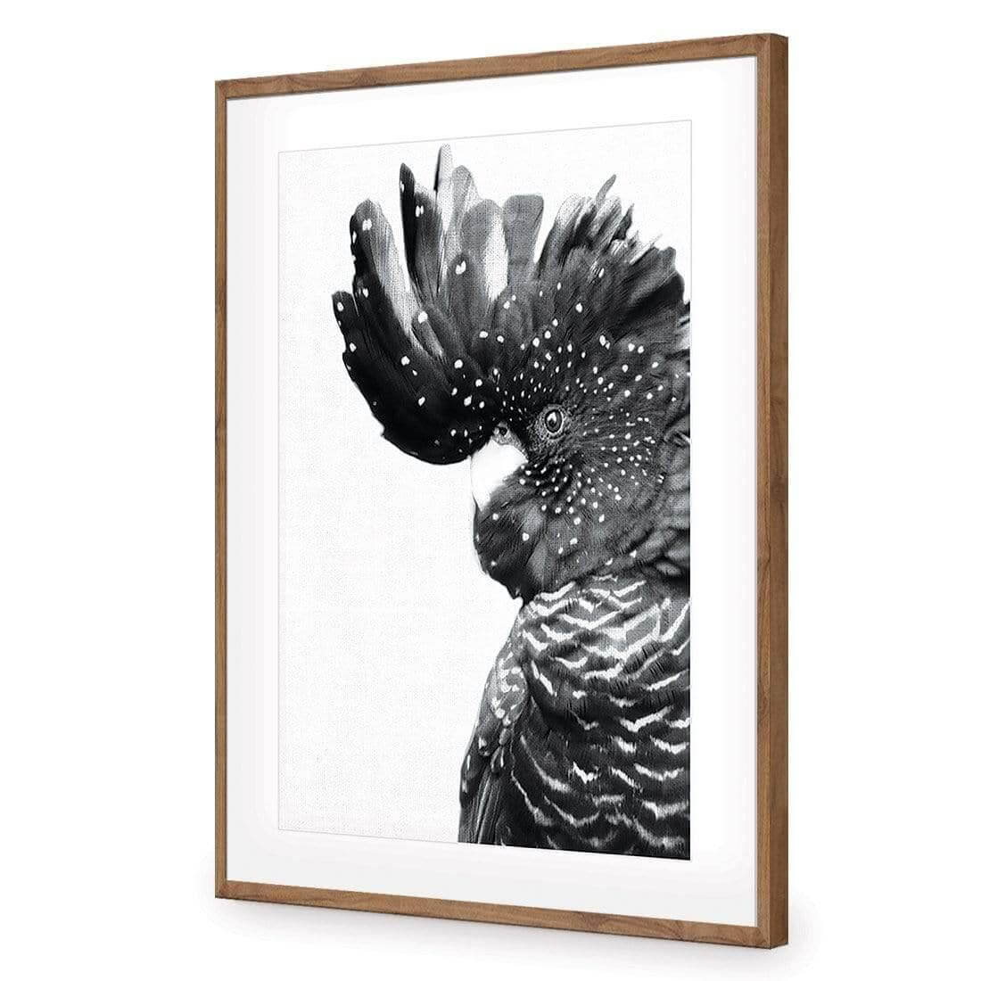 Proud Black Cocky, Black and White - Wall Art Designs - AU_1042_BR_V WAD_AP - 030 - MAT_45x30_S - 2538 - NAT