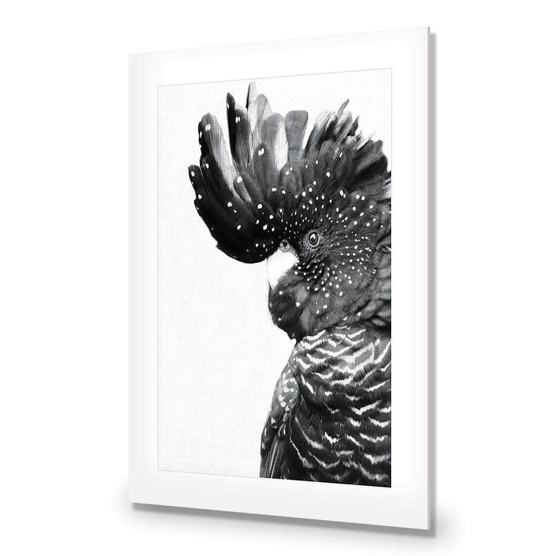 Proud Black Cocky, Black and White - Wall Art Designs - AU_1042_BR_V WAD_AP - 030 - MAT_45x30_NONE