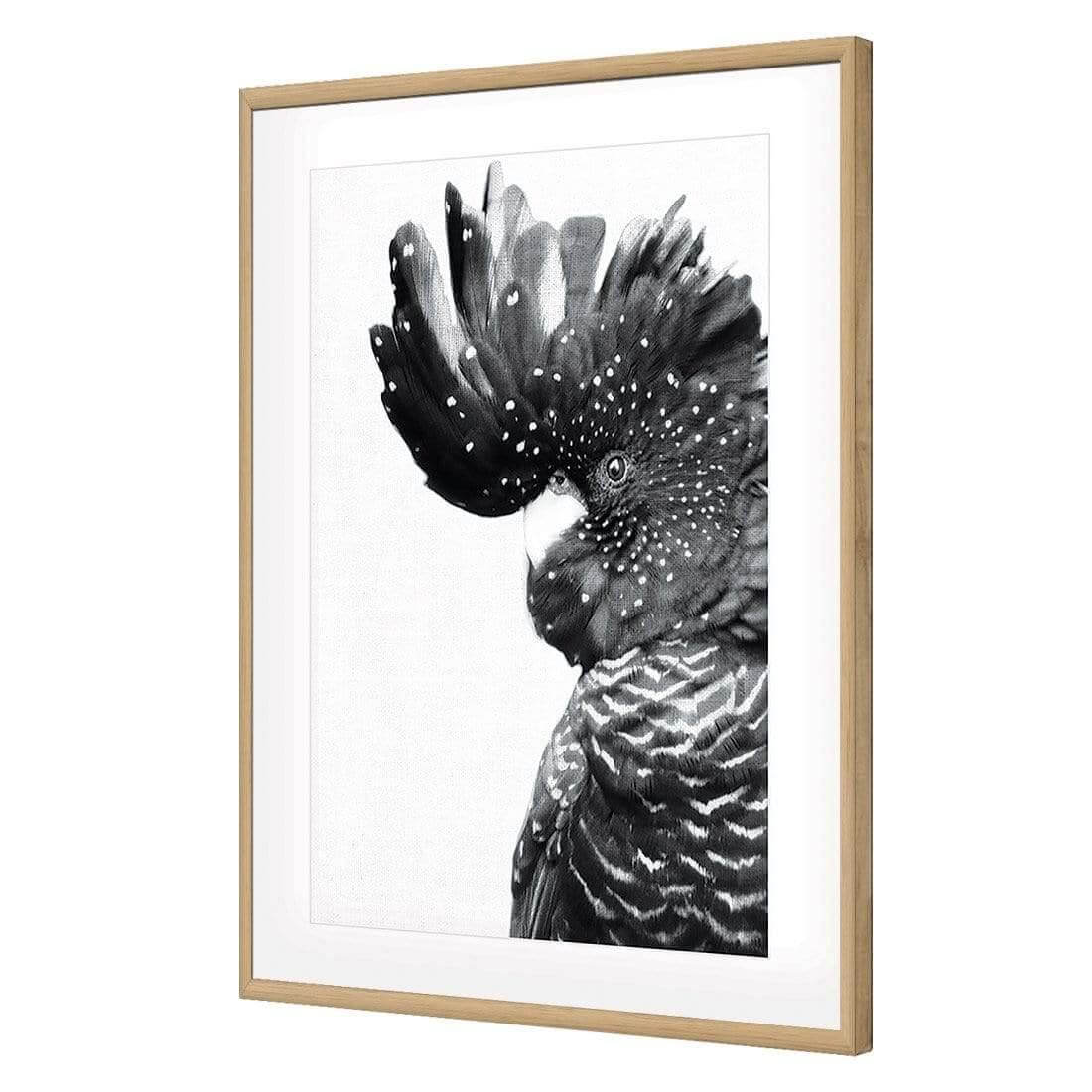 Proud Black Cocky, Black and White - Wall Art Designs - AU_1042_BR_V WAD_AP - 030 - MAT_45x30_S - 2538 - OAK