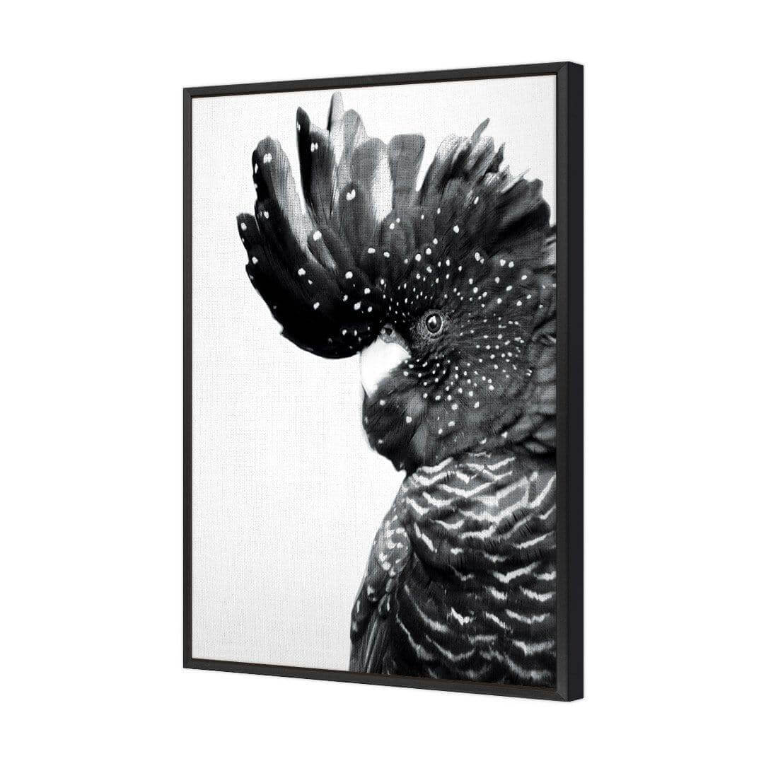 Proud Black Cocky, Black and White - Wall Art Designs - AU_1042_BR_V WAD_CP - MPY - 260 - M - S - S_45x30_S - 1550 - BLK