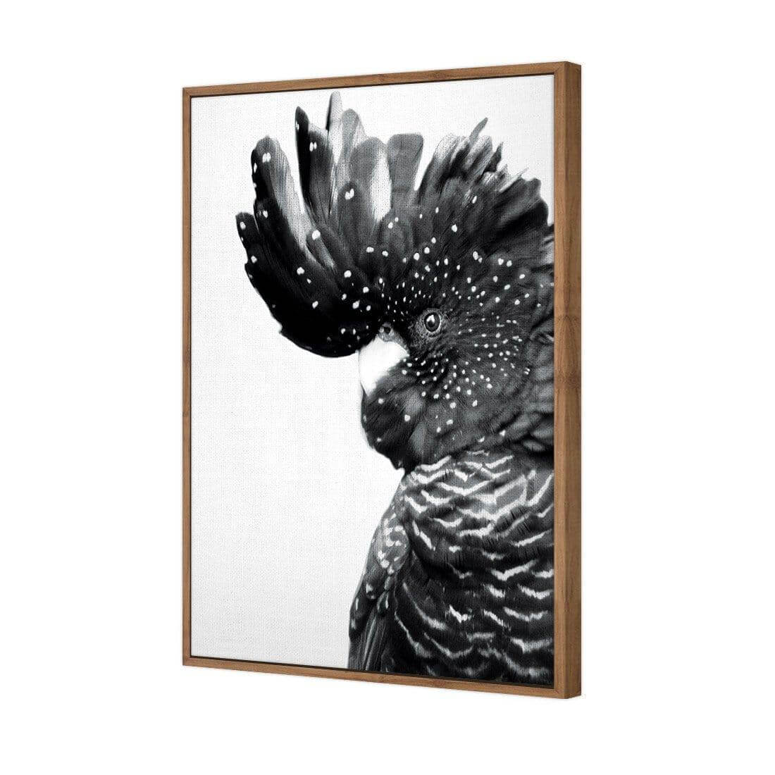 Proud Black Cocky, Black and White - Wall Art Designs - AU_1042_BR_V WAD_CP - MPY - 260 - M - S - S_45x30_S - 1550 - NAT