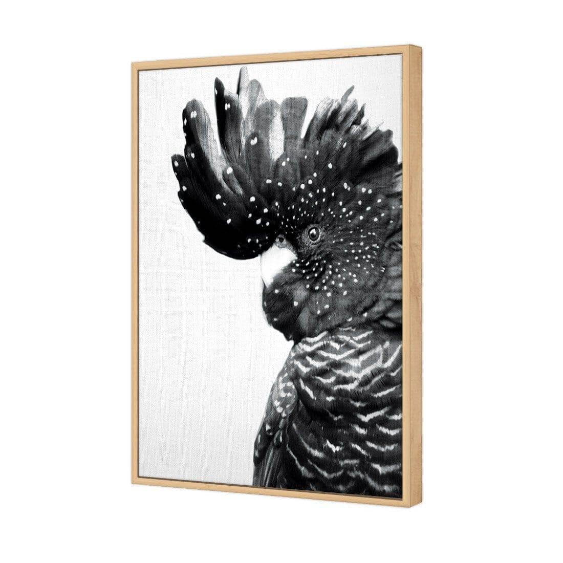 Proud Black Cocky, Black and White - Wall Art Designs - AU_1042_BR_V WAD_CP - MPY - 260 - M - S - S_45x30_S - 1550 - OAK