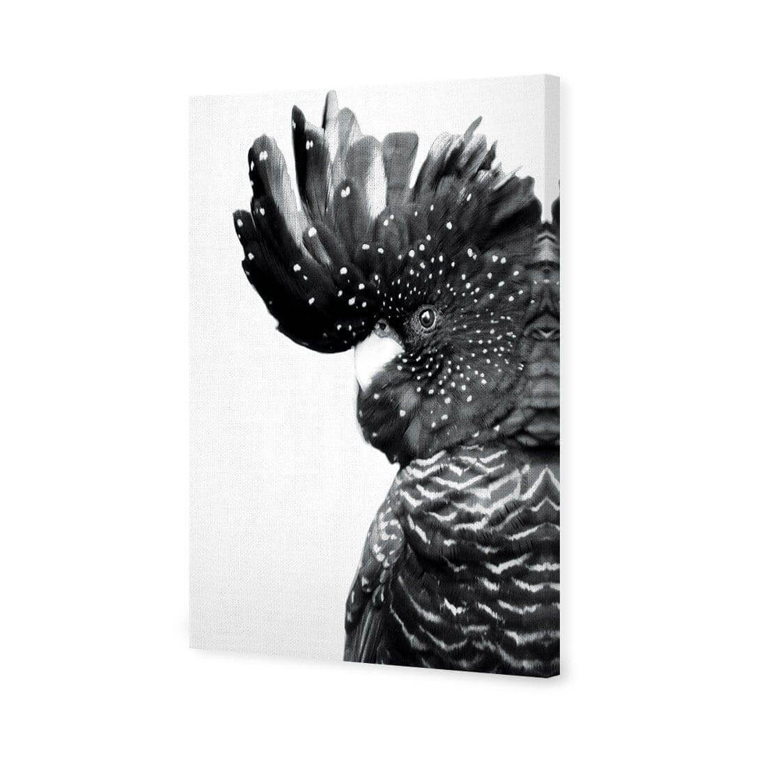 Proud Black Cocky, Black and White - Wall Art Designs - AU_1042_BR_V WAD_CP - MPY - 260 - M - S - S_45x30_NONE