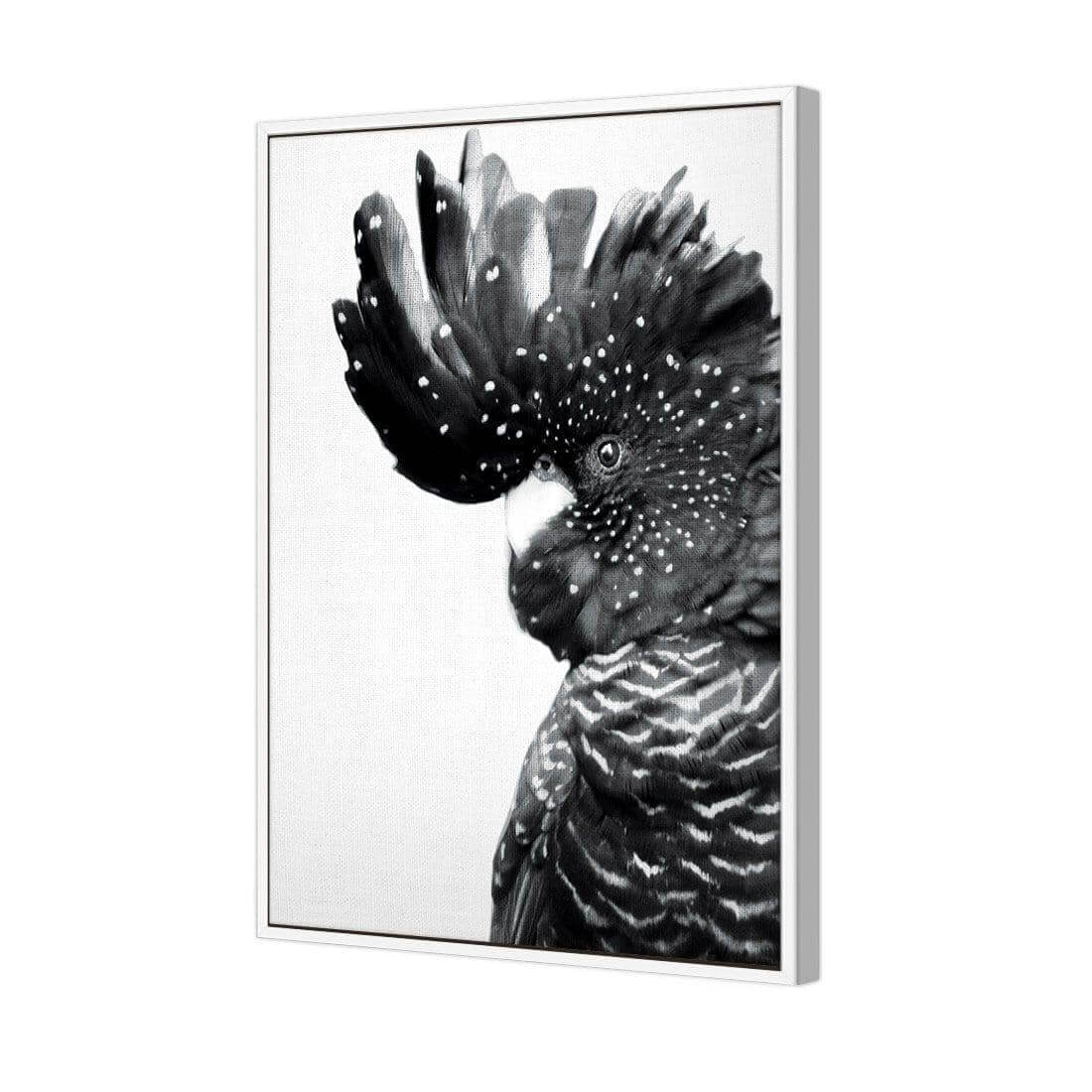 Proud Black Cocky, Black and White - Wall Art Designs - AU_1042_BR_V WAD_CP - MPY - 260 - M - S - S_45x30_S - 1550 - WHT