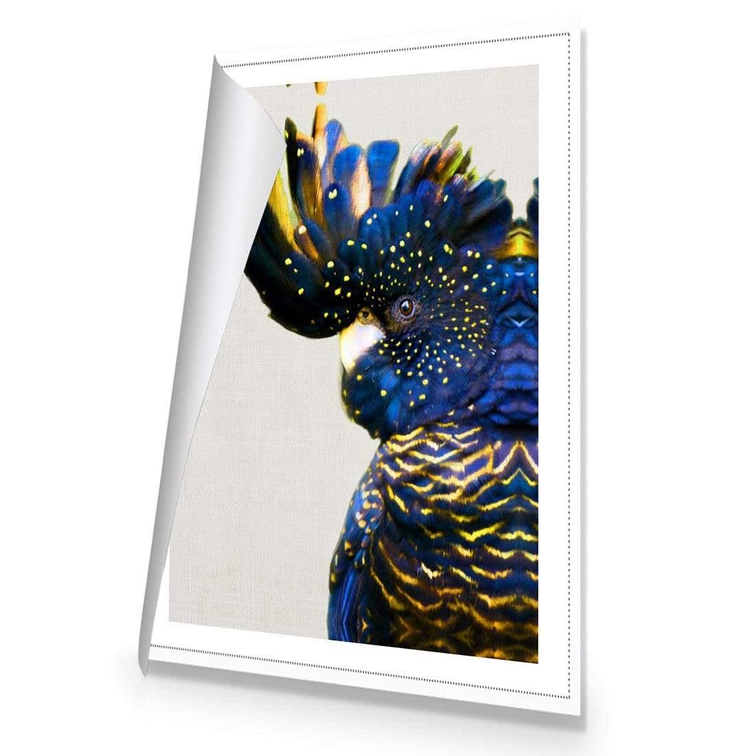 Proud Black Cocky - Wall Art Designs - AU_1042_AR_V WAD_CP - MPY - 260 - M - R_45x30_NONE