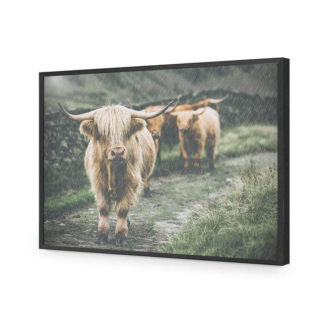 Rain in the Highlands - Wall Art Designs - AU_1035_AR_H WAD_AP - 030 - EDG_45x30_S - 2538 - BLK