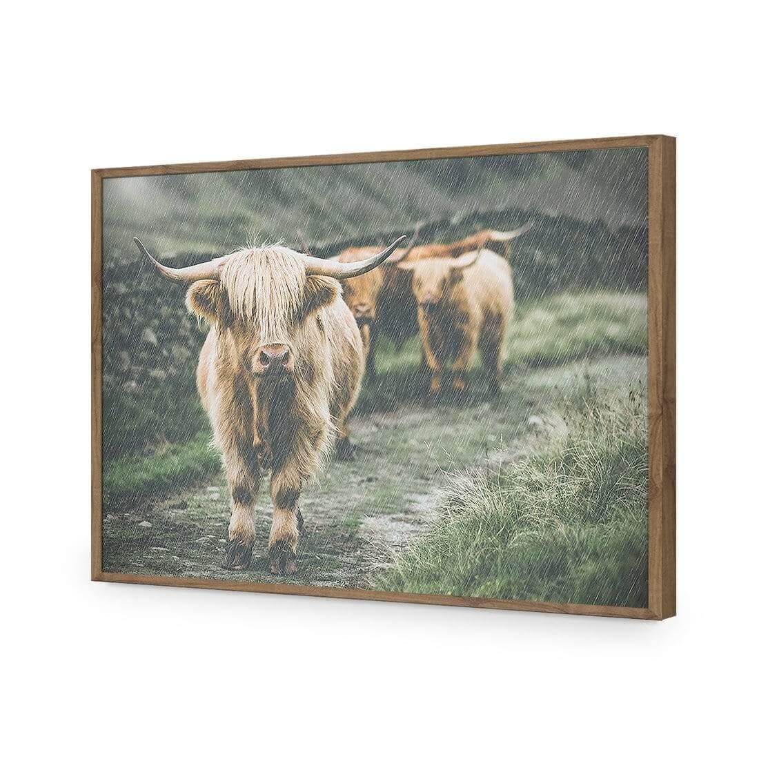 Rain in the Highlands - Wall Art Designs - AU_1035_AR_H WAD_AP - 030 - EDG_45x30_S - 2538 - NAT