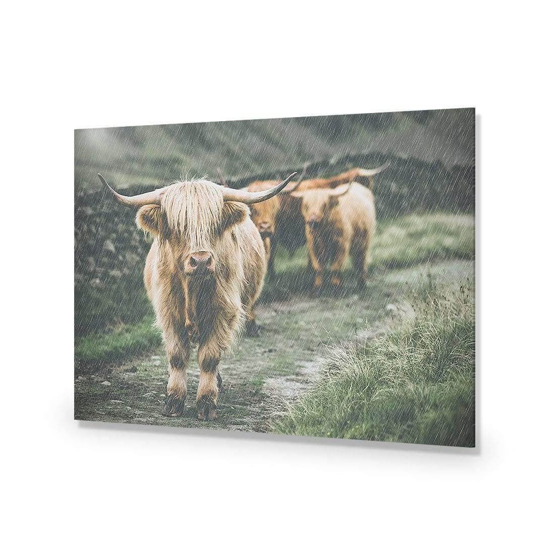 Rain in the Highlands - Wall Art Designs - AU_1035_AR_H WAD_AP - 030 - EDG_45x30_NONE