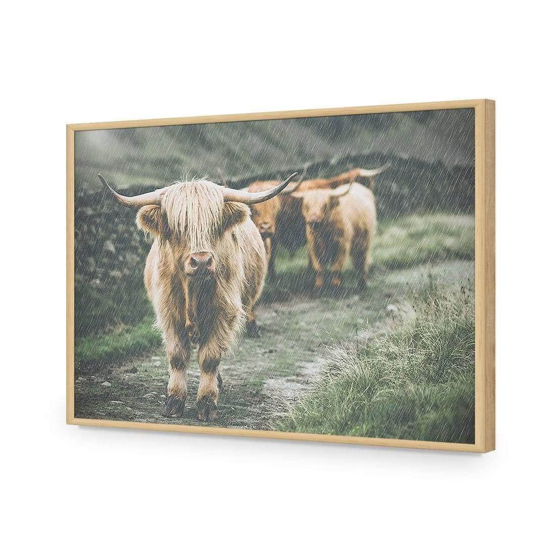 Rain in the Highlands - Wall Art Designs - AU_1035_AR_H WAD_AP - 030 - EDG_45x30_S - 2538 - OAK