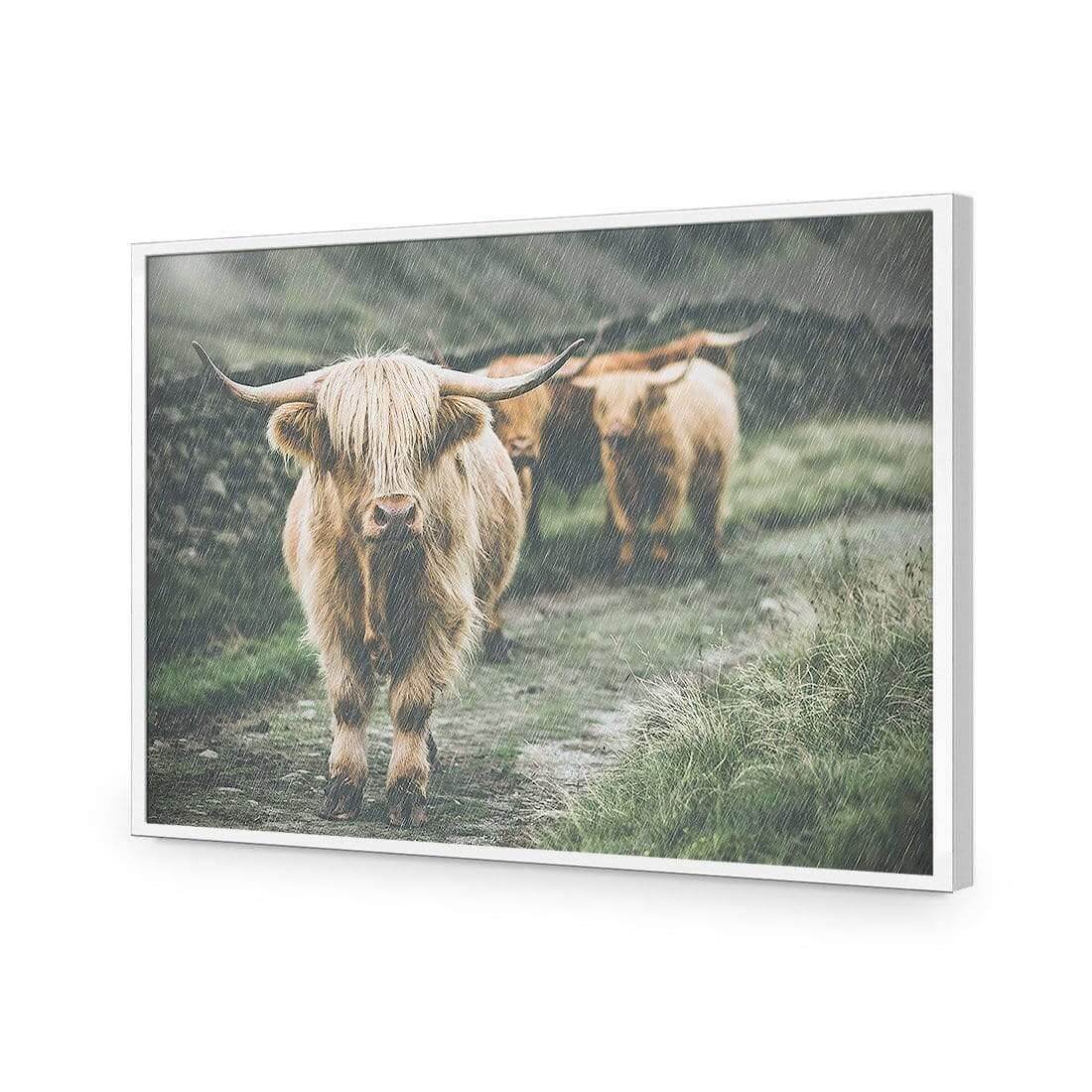 Rain in the Highlands - Wall Art Designs - AU_1035_AR_H WAD_AP - 030 - EDG_45x30_S - 2538 - WHT