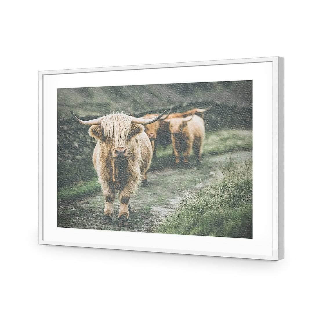 Rain in the Highlands - Wall Art Designs - AU_1035_AR_H WAD_AP - 030 - MAT_45x30_S - 2538 - WHT