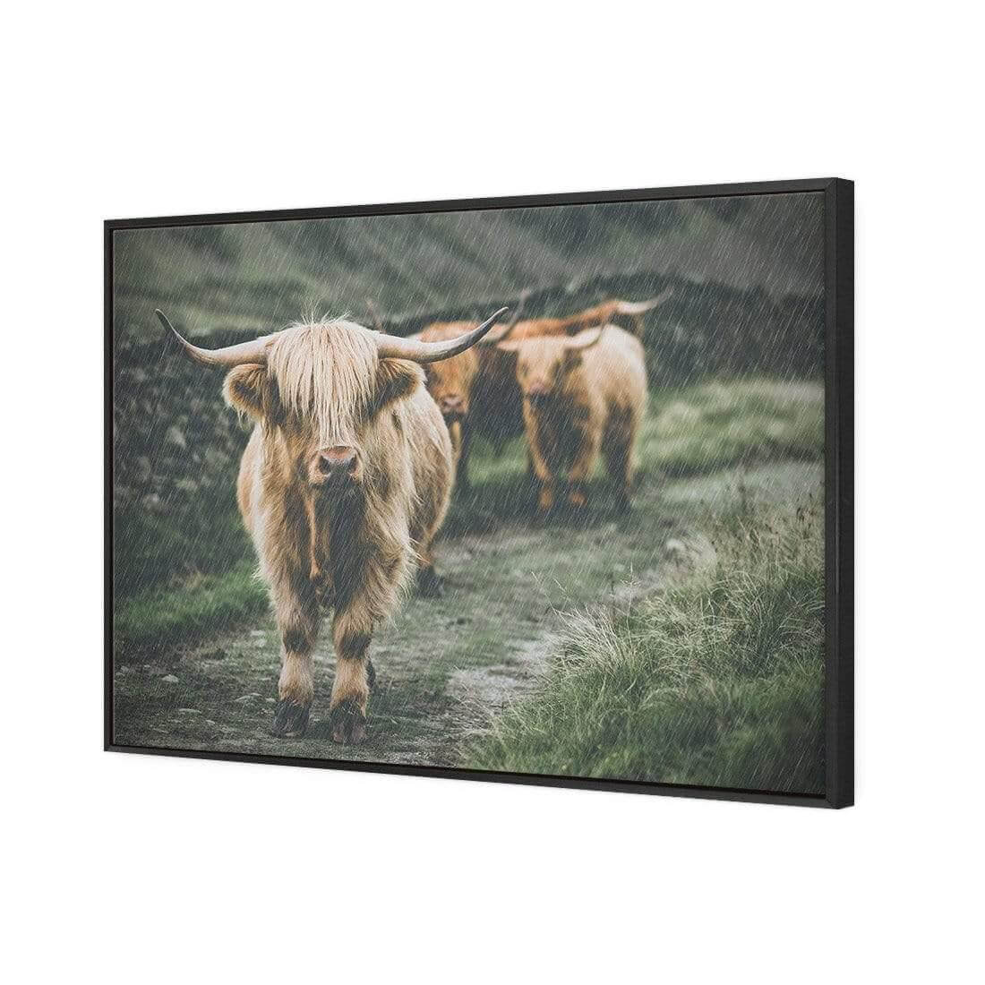 Rain in the Highlands - Wall Art Designs - AU_1035_AR_H WAD_CP - MPY - 260 - M - S - S_45x30_S - 1550 - BLK