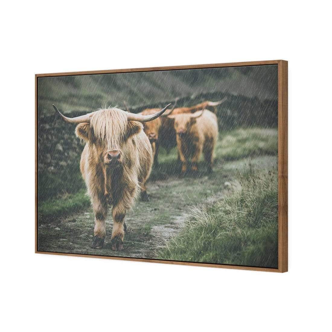 Rain in the Highlands - Wall Art Designs - AU_1035_AR_H WAD_CP - MPY - 260 - M - S - S_45x30_S - 1550 - NAT