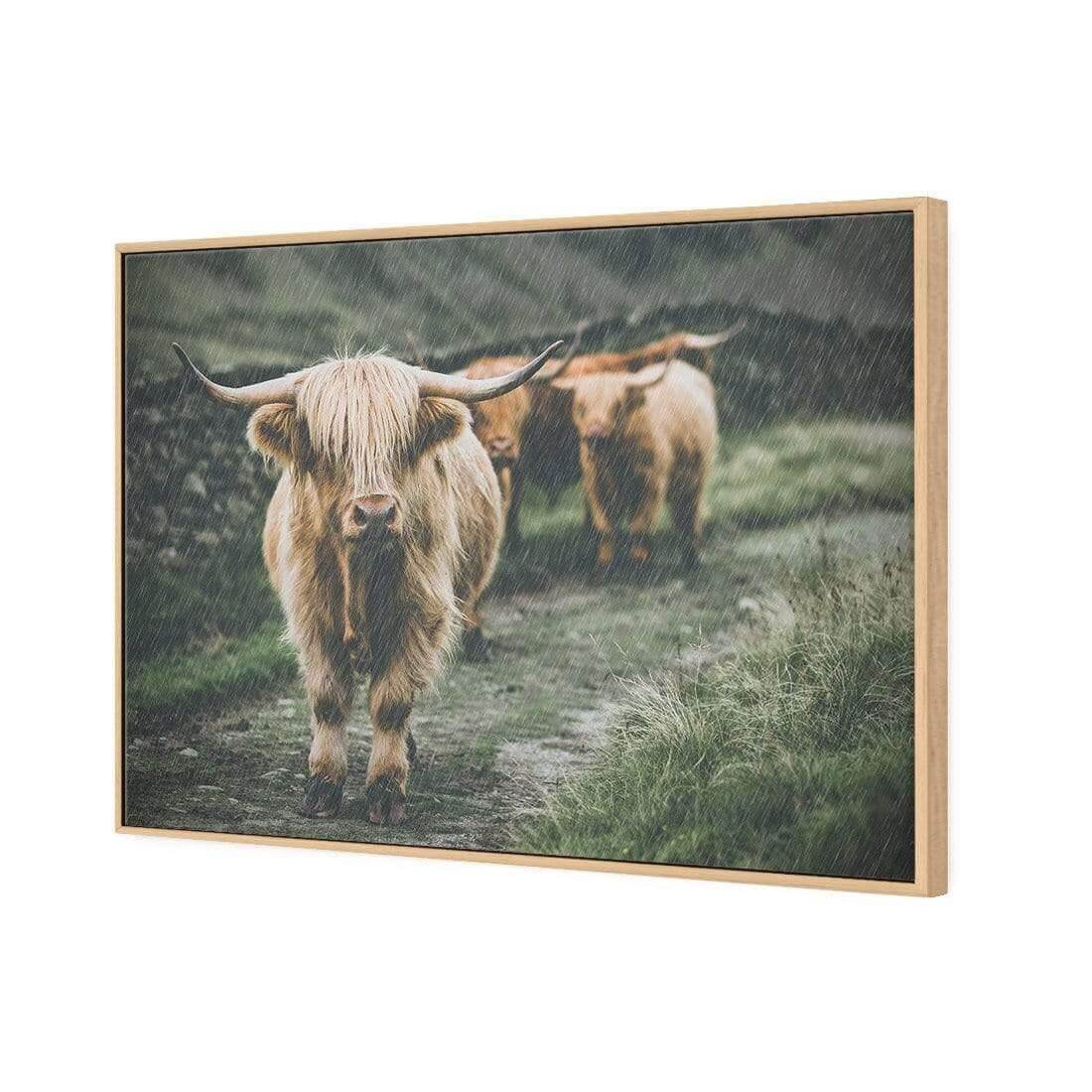 Rain in the Highlands - Wall Art Designs - AU_1035_AR_H WAD_CP - MPY - 260 - M - S - S_45x30_S - 1550 - OAK