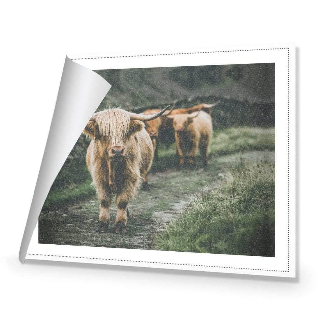 Rain in the Highlands - Wall Art Designs - AU_1035_AR_H WAD_CP - MPY - 260 - M - R_45x30_NONE