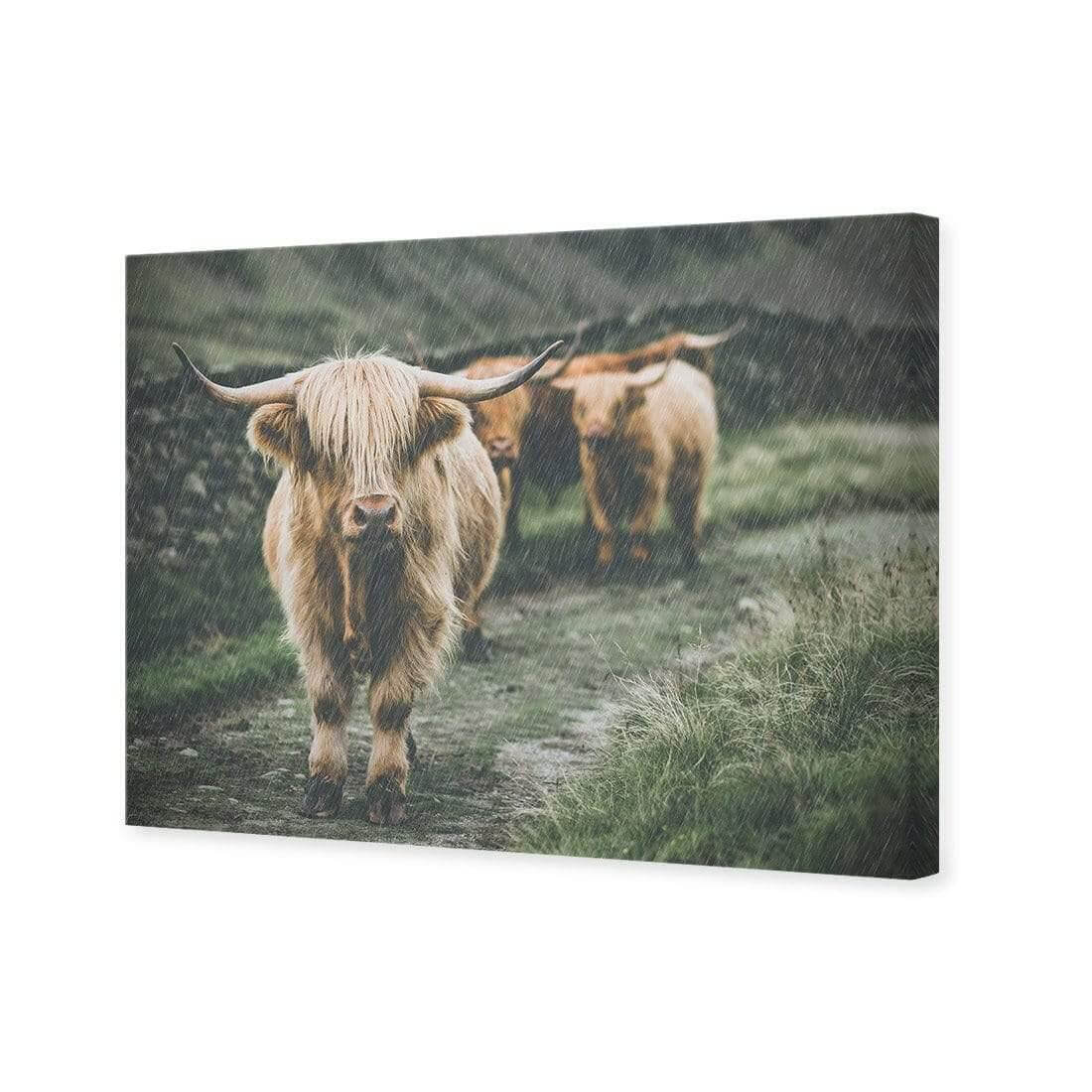 Rain in the Highlands - Wall Art Designs - AU_1035_AR_H WAD_CP - MPY - 260 - M - S - S_45x30_NONE