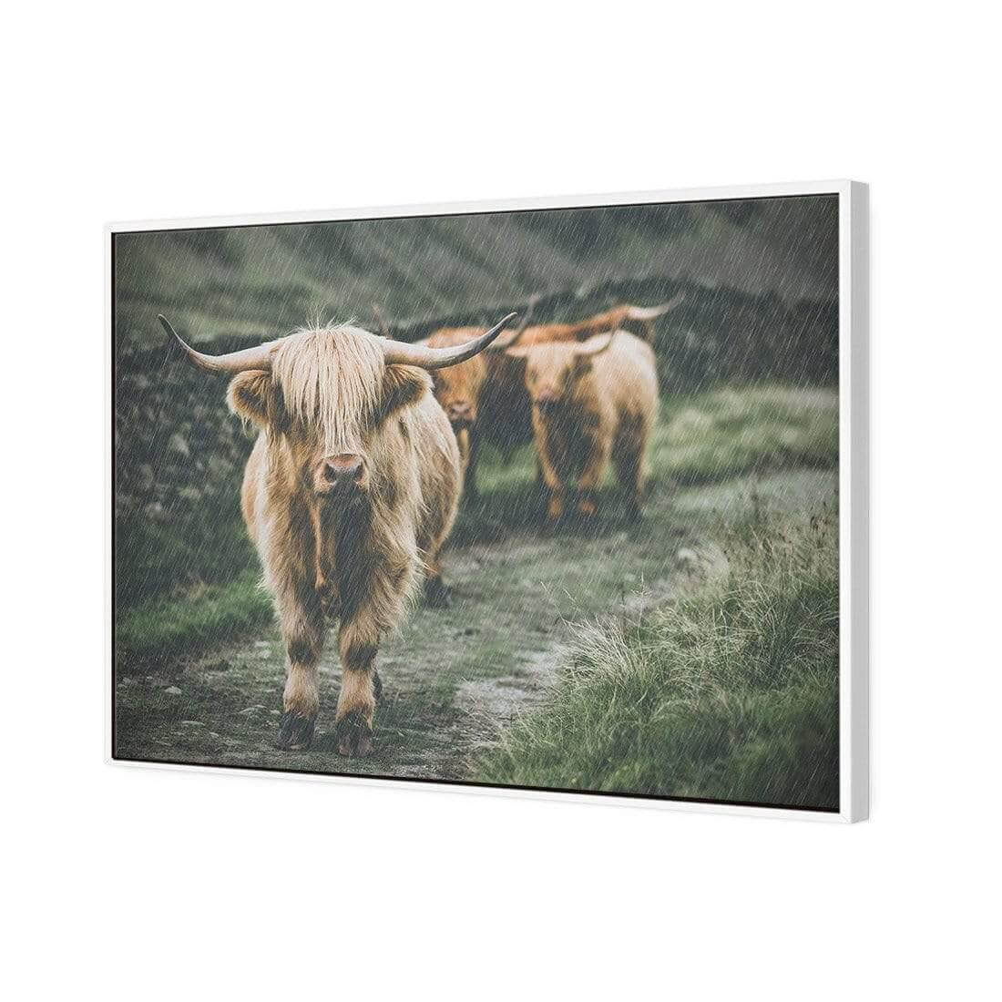 Rain in the Highlands - Wall Art Designs - AU_1035_AR_H WAD_CP - MPY - 260 - M - S - S_45x30_S - 1550 - WHT