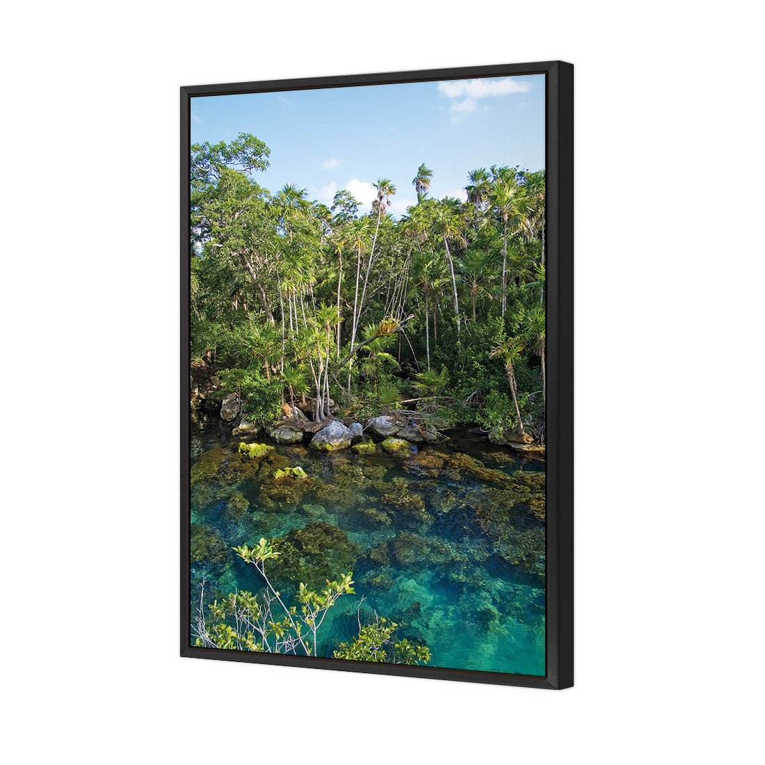 Rainforest Lake (rectangle) - Wall Art Designs - 1033_AR_V WAD_CP - MPY - 260 - M - S - S_45x30_S - 1550 - BLK